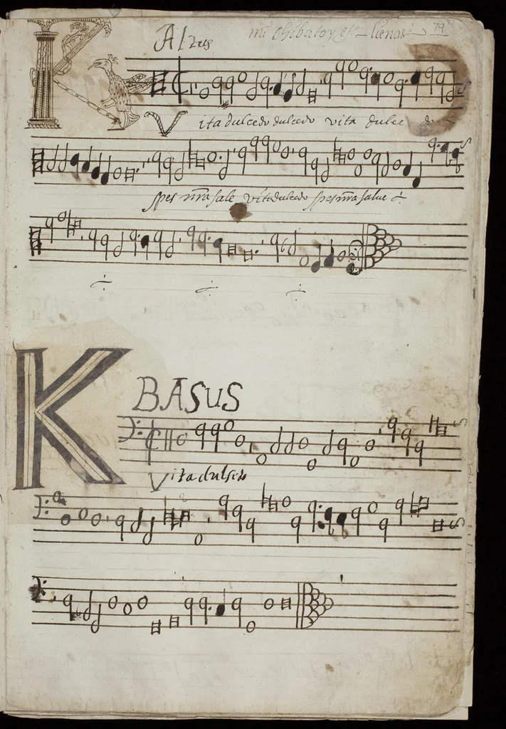An illustration from [Mexican choir books] [v. 1], 1600, leaf 160