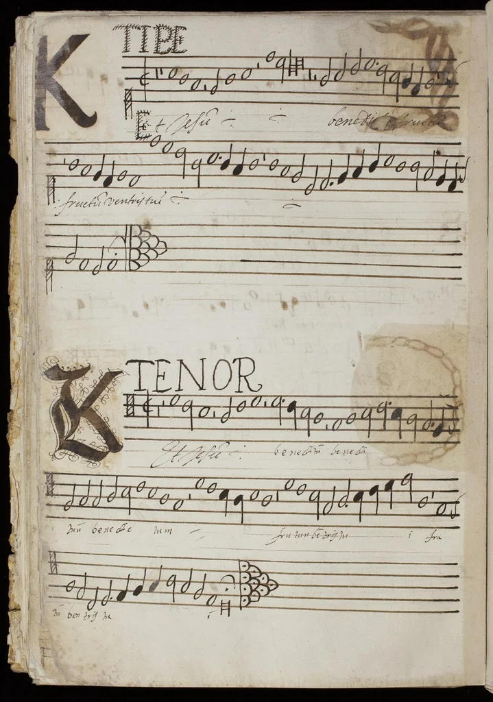 An illustration from [Mexican choir books] [v. 1], 1600, leaf 163