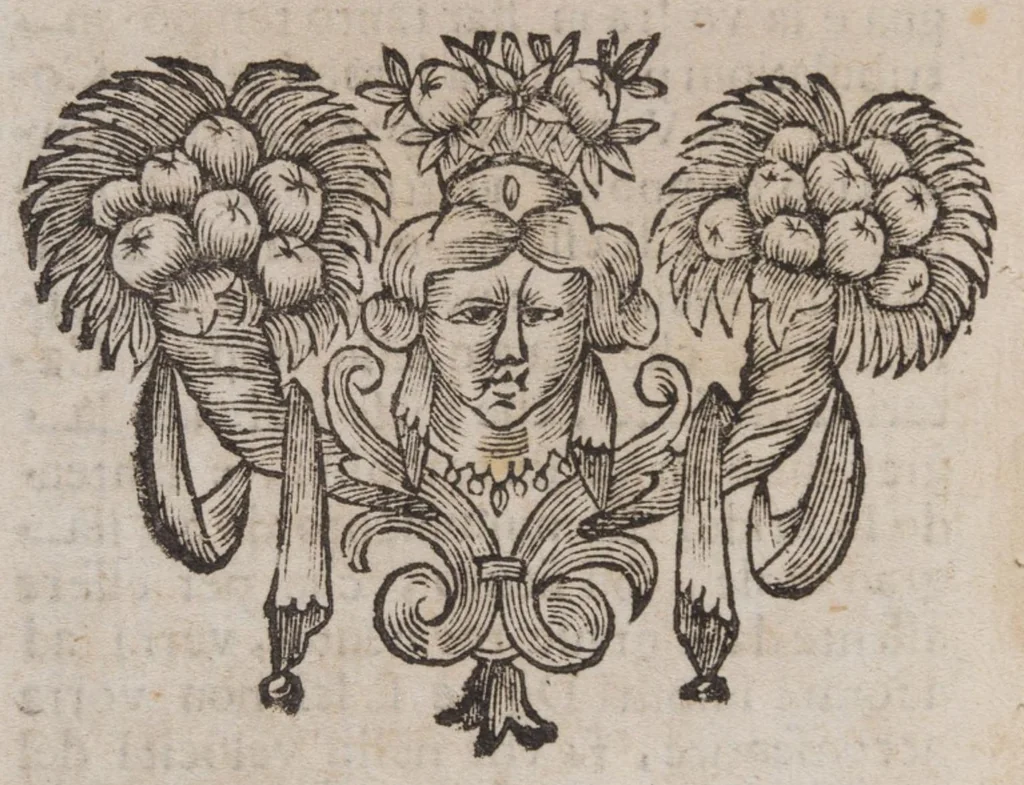 An illustration from Caterina Alesandrina : opera tragica / di Gio. Battista Martini, nobil senese ; dedicata, al illustriss. e molto reuerenda madre, la madre suor Clarice d’Elci., 1676, leaf 71