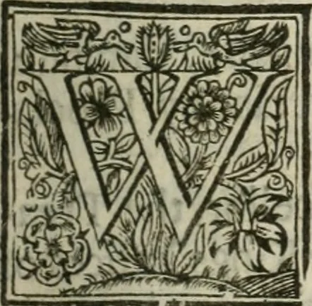 An illustration from Cases of treason .., 1641, leaf 10
