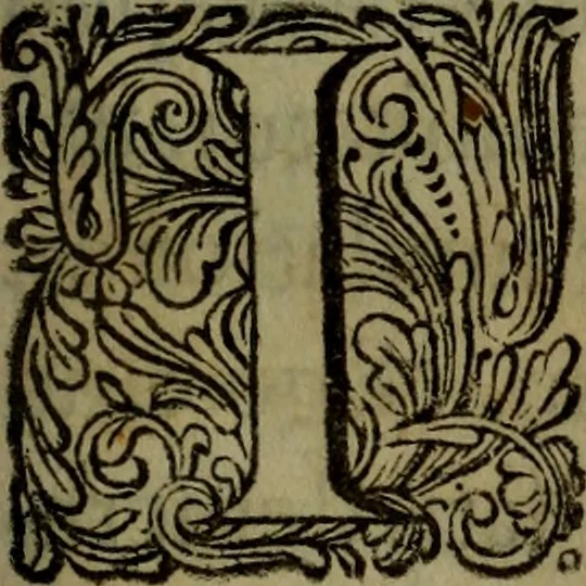 An illustration from Caspari Bartholini Thom. F. De inauribus veterum syntagma : accedit Mantissa ex Thomae Bartholini Miscellaneis medicis de Annulis narium, 1676, leaf 2