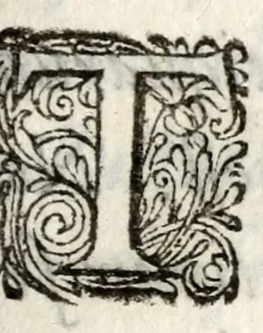 An illustration from Caspari Bartholini thom. f. De inauribus veterum syntagma ; accedit mantissa ex Thomae Bartholini miscellaneis medicis De annulis narium, 1676, leaf 17