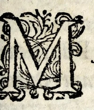 An illustration from Caspari Bartholini thom. f. De inauribus veterum syntagma ; accedit mantissa ex Thomae Bartholini miscellaneis medicis De annulis narium, 1676, leaf 205