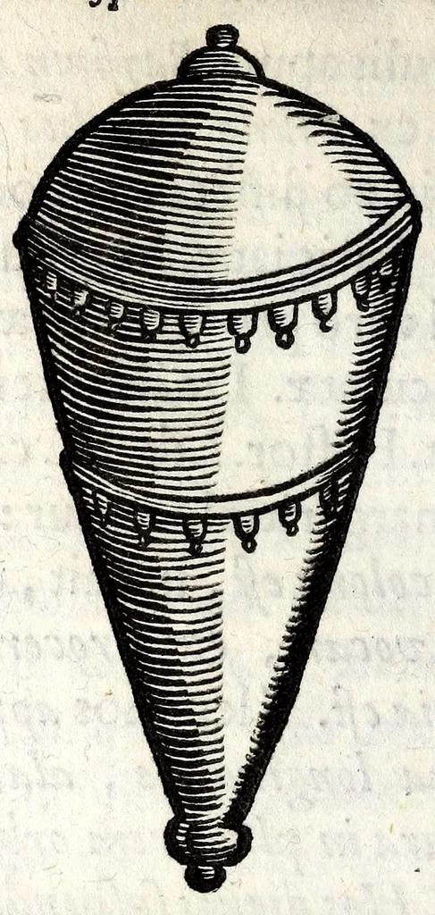 An illustration from Caspari Bartholini thom. f. De inauribus veterum syntagma ; accedit mantissa ex Thomae Bartholini miscellaneis medicis De annulis narium, 1676, leaf 56