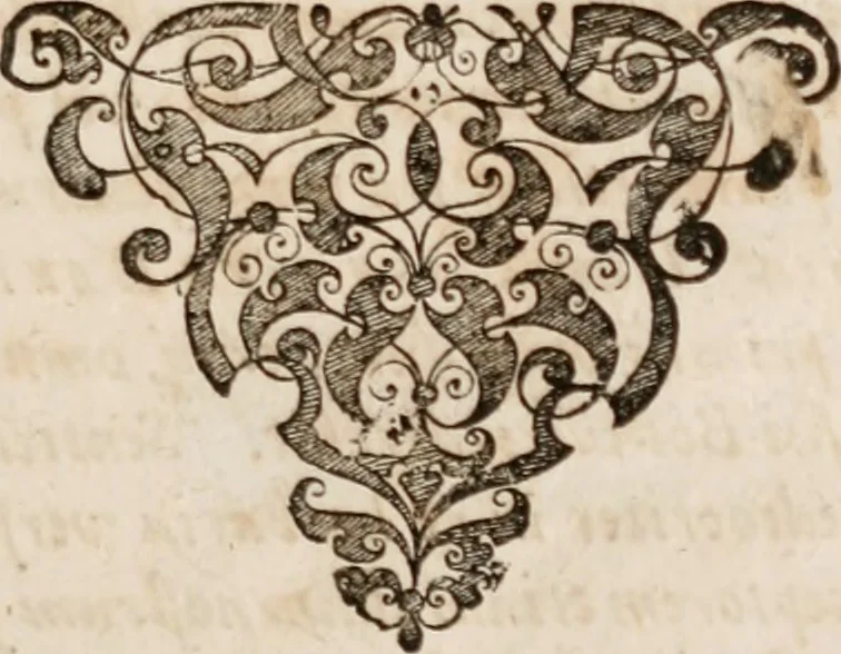 An illustration from Caspari Bauhini ... # Theatri botanici sive Index in Theophrasti Dioscoridis, Plinii et botanicorvm qui à seculo scripserunt opera plantarvm circiter sex millivm ab ipsis exhibitarvm nomina cum earundem synonymijs & differentijs methodice secundum genera & species proponens. Opvs XL. annorvm summopere expetitum ad autoris autographum recensitum, 1671, leaf 10