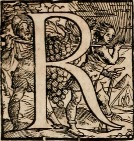 An illustration from Caspari Bauhini ... # Theatri botanici sive Index in Theophrasti Dioscoridis, Plinii et botanicorvm qui à seculo scripserunt opera plantarvm circiter sex millivm ab ipsis exhibitarvm nomina cum earundem synonymijs & differentijs methodice secundum genera & species proponens. Opvs XL. annorvm summopere expetitum ad autoris autographum recensitum, 1671, leaf 11