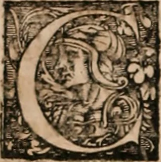 An illustration from Caspari Bauhini ... # Theatri botanici sive Index in Theophrasti Dioscoridis, Plinii et botanicorvm qui à seculo scripserunt opera plantarvm circiter sex millivm ab ipsis exhibitarvm nomina cum earundem synonymijs & differentijs methodice secundum genera & species proponens. Opvs XL. annorvm summopere expetitum ad autoris autographum recensitum, 1671, leaf 13