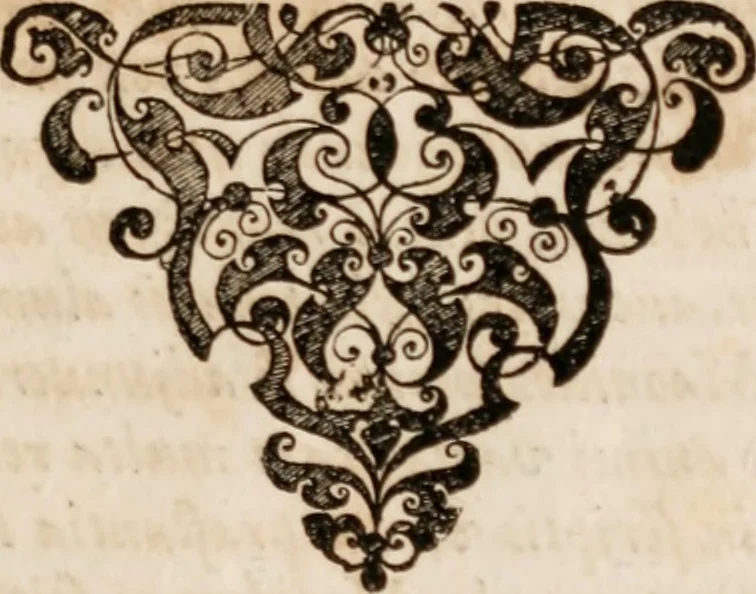 An illustration from Caspari Bauhini ... # Theatri botanici sive Index in Theophrasti Dioscoridis, Plinii et botanicorvm qui à seculo scripserunt opera plantarvm circiter sex millivm ab ipsis exhibitarvm nomina cum earundem synonymijs & differentijs methodice secundum genera & species proponens. Opvs XL. annorvm summopere expetitum ad autoris autographum recensitum, 1671, leaf 26