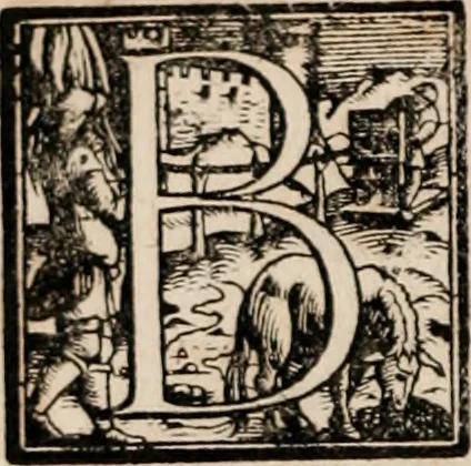 An illustration from Caspari Bauhini ... # Theatri botanici sive Index in Theophrasti Dioscoridis, Plinii et botanicorvm qui à seculo scripserunt opera plantarvm circiter sex millivm ab ipsis exhibitarvm nomina cum earundem synonymijs & differentijs methodice secundum genera & species proponens. Opvs XL. annorvm summopere expetitum ad autoris autographum recensitum, 1671, leaf 27