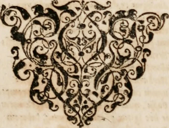 An illustration from Caspari Bauhini ... # Theatri botanici sive Index in Theophrasti Dioscoridis, Plinii et botanicorvm qui à seculo scripserunt opera plantarvm circiter sex millivm ab ipsis exhibitarvm nomina cum earundem synonymijs & differentijs methodice secundum genera & species proponens. Opvs XL. annorvm summopere expetitum ad autoris autographum recensitum, 1671, leaf 28