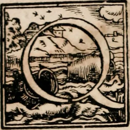 An illustration from Caspari Bauhini ... # Theatri botanici sive Index in Theophrasti Dioscoridis, Plinii et botanicorvm qui à seculo scripserunt opera plantarvm circiter sex millivm ab ipsis exhibitarvm nomina cum earundem synonymijs & differentijs methodice secundum genera & species proponens. Opvs XL. annorvm summopere expetitum ad autoris autographum recensitum, 1671, leaf 29