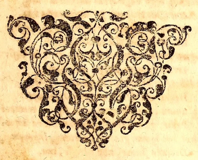 An illustration from Caspari Bauhini viri clariss. Pinax Theatri botanici, sive, Index in Theophrasti, Dioscoridis, Plinij et botanicorum qui à seculo scripserunt opera : plantarum circiter sex millium ab ipsis exhibitarum nomina cum earundem synonymijs & differentijs methodice secundum genera & species proponens : opus XL annorum summopere expetitum ad autoris autographum recensitum, 1671, leaf 25