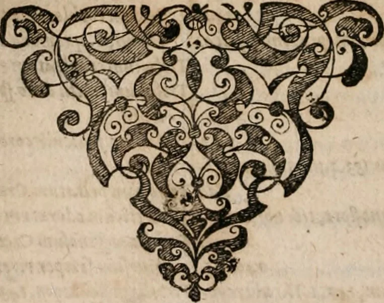 An illustration from Caspari Bavhini ... theatri botanici in qvo plantæ svpra sexcentæ ab ipso primum descriptæ cum plurimis figuris proponuntur, 1671, leaf 181