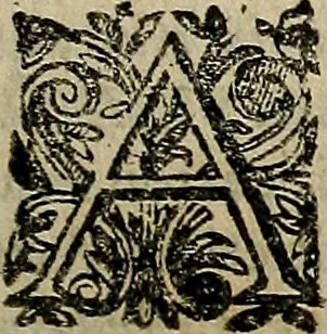 An illustration from Caspari Hofmanni ... Institutionum medicarum libri sex cum duplici indice copiosissimo, 1645, leaf 116