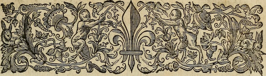 An illustration from Caspari Hofmanni ... Institutionum medicarum libri sex cum duplici indice copiosissimo, 1645, leaf 14