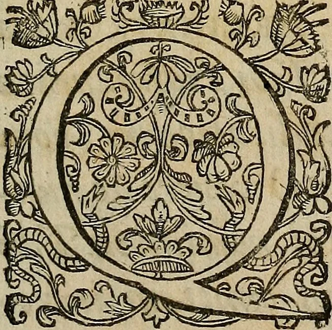 An illustration from Caspari Hofmanni ... Institutionum medicarum libri sex cum duplici indice copiosissimo, 1645, leaf 14