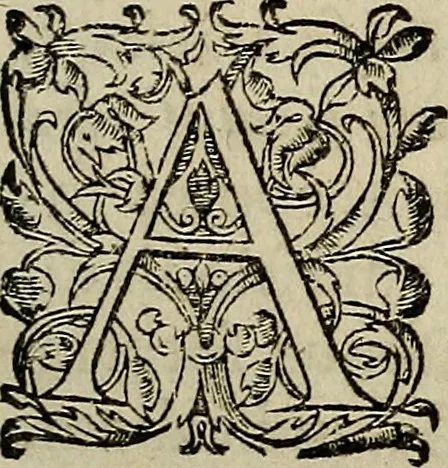 An illustration from Caspari Hofmanni ... Institutionum medicarum libri sex cum duplici indice copiosissimo, 1645, leaf 18