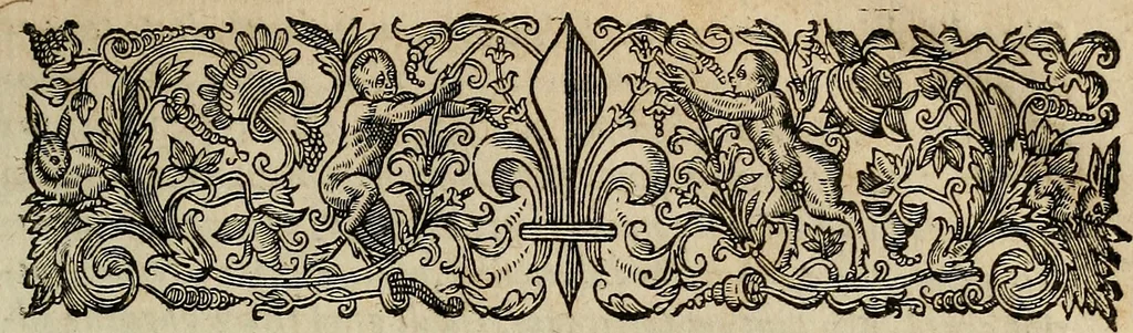 An illustration from Caspari Hofmanni ... Institutionum medicarum libri sex cum duplici indice copiosissimo, 1645, leaf 18