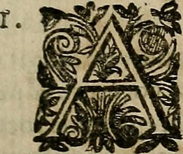 An illustration from Caspari Hofmanni ... Institutionum medicarum libri sex cum duplici indice copiosissimo, 1645, leaf 236