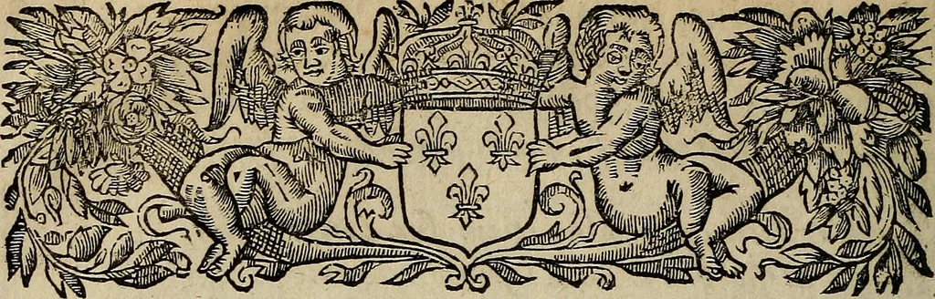 An illustration from Caspari Hofmanni ... Institutionum medicarum libri sex cum duplici indice copiosissimo, 1645, leaf 25