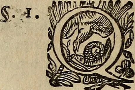 An illustration from Caspari Hofmanni ... Institutionum medicarum libri sex cum duplici indice copiosissimo, 1645, leaf 253