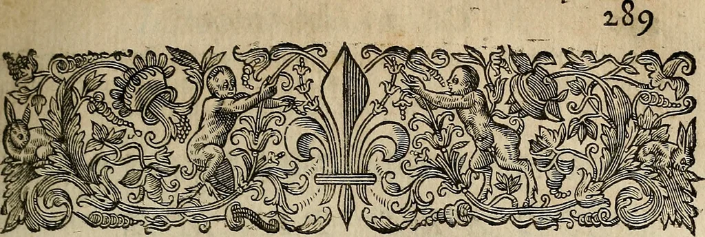 An illustration from Caspari Hofmanni ... Institutionum medicarum libri sex cum duplici indice copiosissimo, 1645, leaf 330