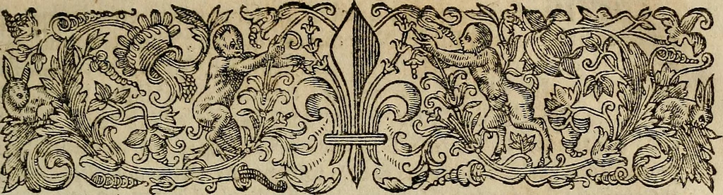 An illustration from Caspari Hofmanni ... Institutionum medicarum libri sex cum duplici indice copiosissimo, 1645, leaf 42