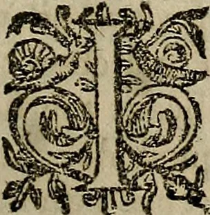An illustration from Caspari Hofmanni ... Institutionum medicarum libri sex cum duplici indice copiosissimo, 1645, leaf 48