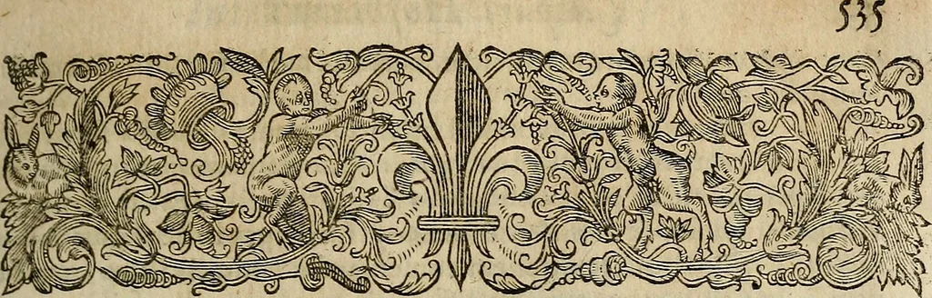 An illustration from Caspari Hofmanni ... Institutionum medicarum libri sex cum duplici indice copiosissimo, 1645, leaf 576