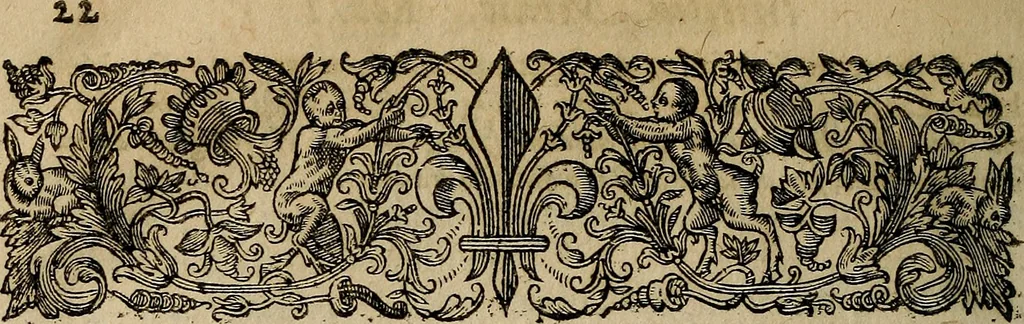 An illustration from Caspari Hofmanni ... Institutionum medicarum libri sex cum duplici indice copiosissimo, 1645, leaf 63
