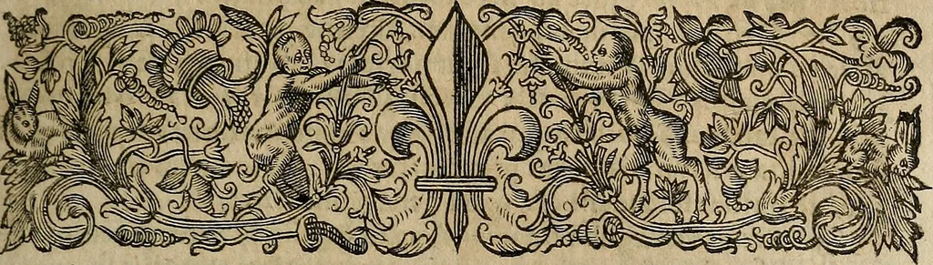 An illustration from Caspari Hofmanni ... Institutionum medicarum libri sex cum duplici indice copiosissimo, 1645, leaf 700