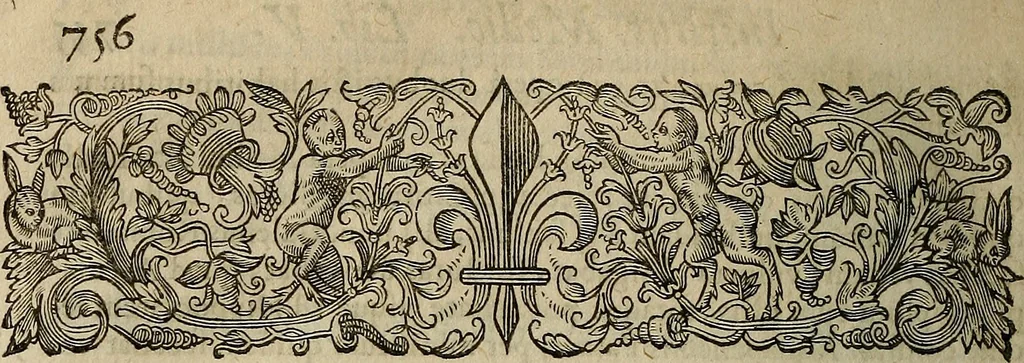 An illustration from Caspari Hofmanni ... Institutionum medicarum libri sex cum duplici indice copiosissimo, 1645, leaf 795