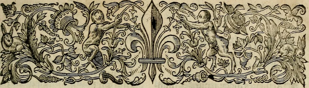 An illustration from Caspari Hofmanni ... Institutionum medicarum libri sex cum duplici indice copiosissimo, 1645, leaf 820