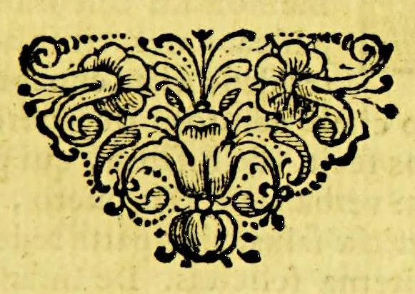 An illustration from Casparis Barlaei Orationum liber. : Accesserunt alia nonnulla varii & amoenioris argumenti, 1643, leaf 221