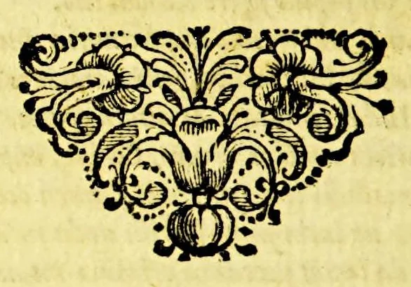 An illustration from Casparis Barlaei Orationum liber. : Accesserunt alia nonnulla varii & amoenioris argumenti, 1643, leaf 306