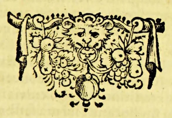 An illustration from Casparis Barlaei Orationum liber. : Accesserunt alia nonnulla varii & amoenioris argumenti, 1643, leaf 501