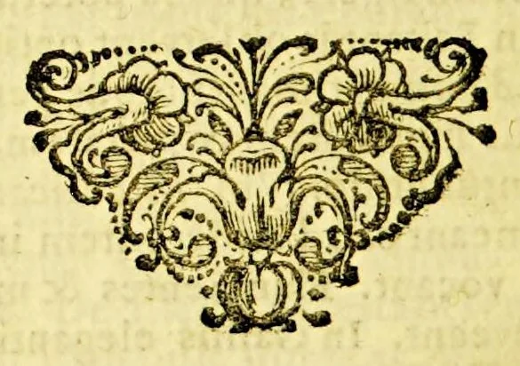 An illustration from Casparis Barlaei Orationum liber. : Accesserunt alia nonnulla varii & amoenioris argumenti, 1643, leaf 530