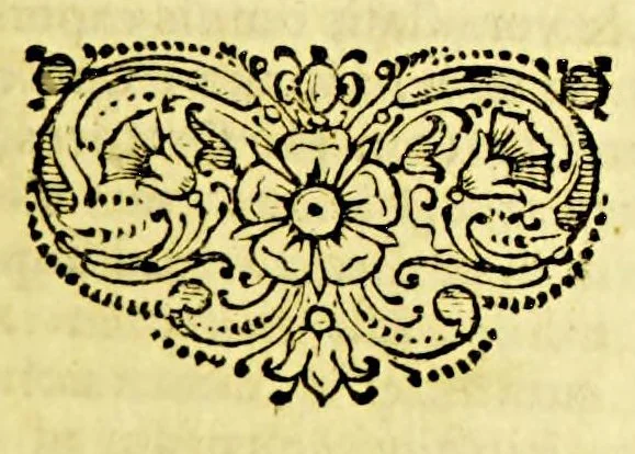 An illustration from Casparis Barlaei Orationum liber. : Accesserunt alia nonnulla varii & amoenioris argumenti, 1643, leaf 71