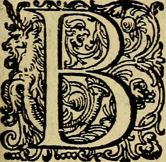 An illustration from Casparis Barlaei Rerum per octennium in Brasilia et alibi gestarum : sub praefectura illustrissimi comitis I. Mauritii Nassaviae &c. comitis, historia, 1660, leaf 12