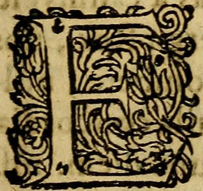 An illustration from Casparis Barlaei Rerum per octennium in Brasilia et alibi gestarum : sub praefectura illustrissimi comitis I. Mauritii Nassaviae &c. comitis, historia, 1660, leaf 26