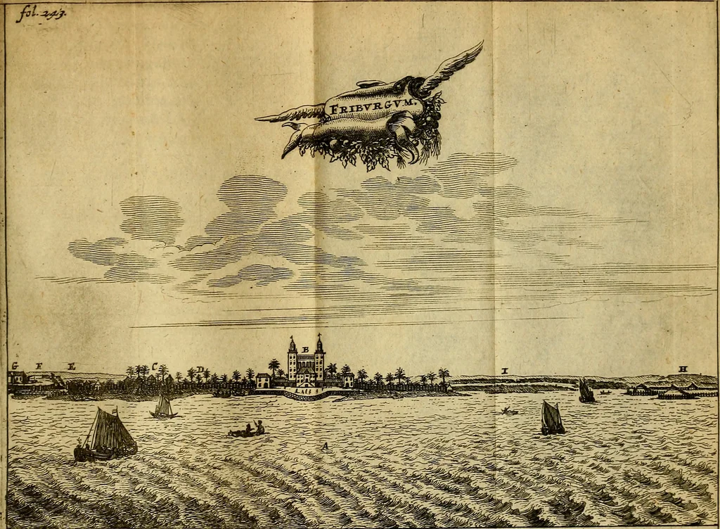 An illustration from Casparis Barlaei Rerum per octennium in Brasilia et alibi gestarum : sub praefectura illustrissimi comitis I. Mauritii Nassaviae &c. comitis, historia, 1660, leaf 266