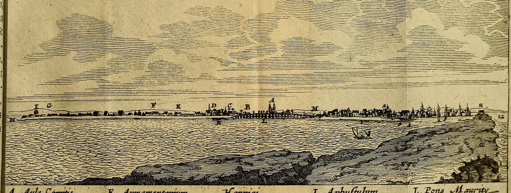An illustration from Casparis Barlaei Rerum per octennium in Brasilia et alibi gestarum : sub praefectura illustrissimi comitis I. Mauritii Nassaviae &c. comitis, historia, 1660, leaf 274