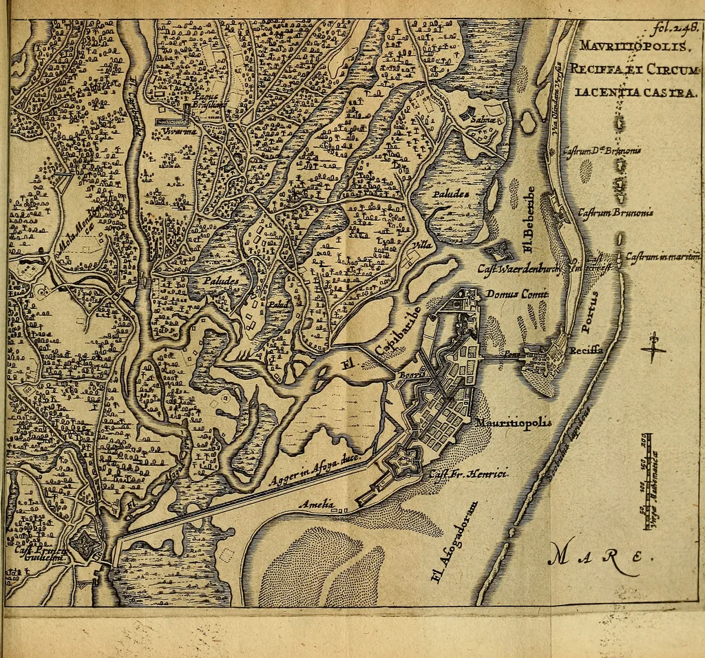 An illustration from Casparis Barlaei Rerum per octennium in Brasilia et alibi gestarum : sub praefectura illustrissimi comitis I. Mauritii Nassaviae &c. comitis, historia, 1660, leaf 276