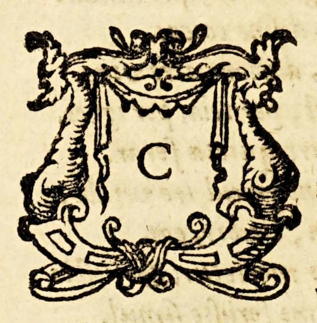 An illustration from Casparis Barlæi poematum liber novus, in quo, præter alia illustres federati populi victoriæ, jam nuper domi ac foris partæ, celebrantur, 1630, leaf 122