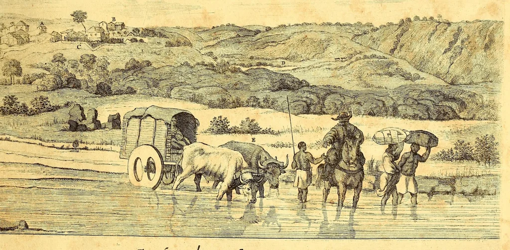 An illustration from Casparis Barlæi, rerum per octennium in Brasilia et alibi nuper gestarum, sub præfectura illustrissimi Comitis I. Mauritii, Nassoviæ, &c. comitis, nunc Vesaliæ gubernatoris & equitatus fderatorum Belgii ordd. sub Auriaco ductoris, historia, 1647, leaf 101