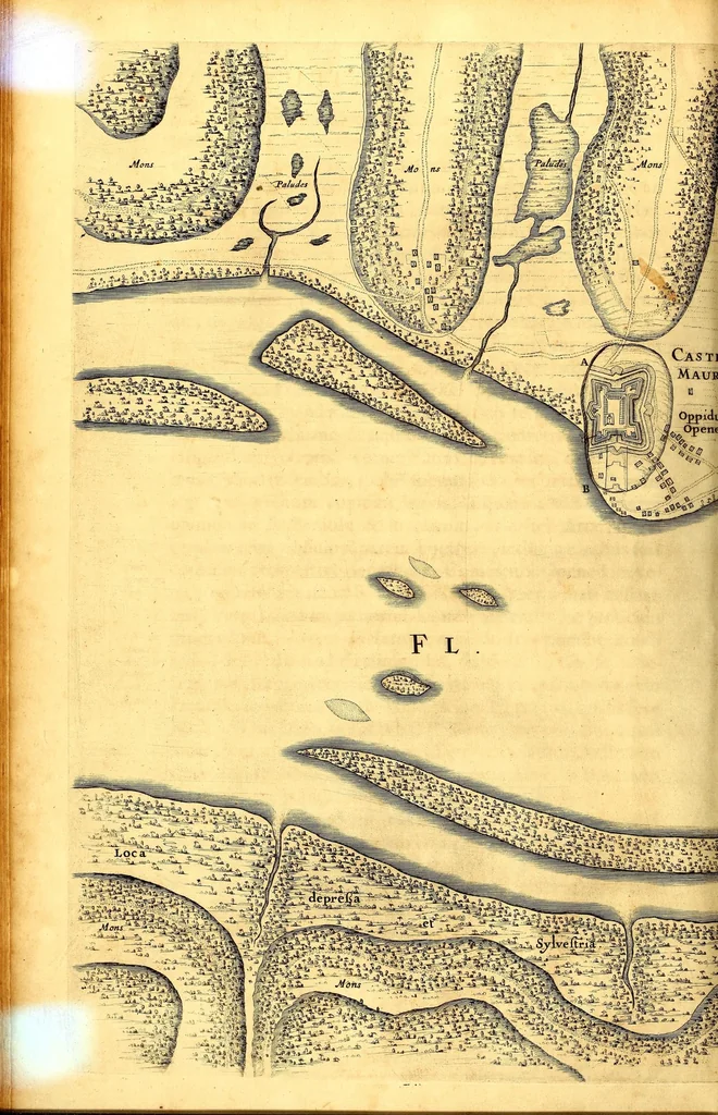 An illustration from Casparis Barlæi, rerum per octennium in Brasilia et alibi nuper gestarum, sub præfectura illustrissimi Comitis I. Mauritii, Nassoviæ, &c. comitis, nunc Vesaliæ gubernatoris & equitatus fderatorum Belgii ordd. sub Auriaco ductoris, historia, 1647, leaf 118