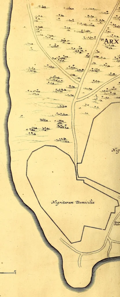An illustration from Casparis Barlæi, rerum per octennium in Brasilia et alibi nuper gestarum, sub præfectura illustrissimi Comitis I. Mauritii, Nassoviæ, &c. comitis, nunc Vesaliæ gubernatoris & equitatus fderatorum Belgii ordd. sub Auriaco ductoris, historia, 1647, leaf 154