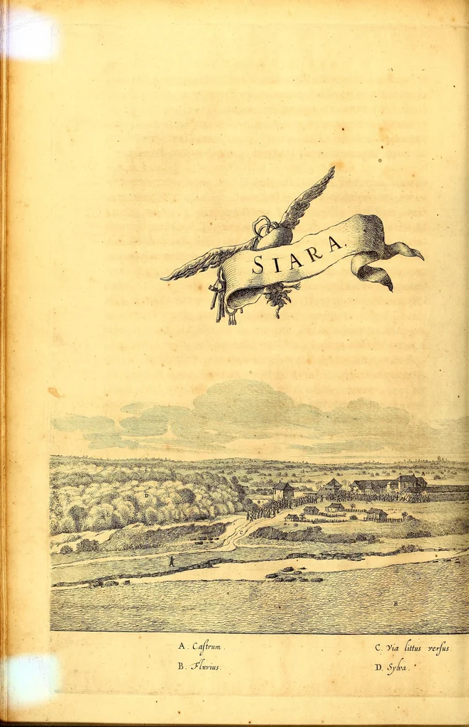 An illustration from Casparis Barlæi, rerum per octennium in Brasilia et alibi nuper gestarum, sub præfectura illustrissimi Comitis I. Mauritii, Nassoviæ, &c. comitis, nunc Vesaliæ gubernatoris & equitatus fderatorum Belgii ordd. sub Auriaco ductoris, historia, 1647, leaf 174