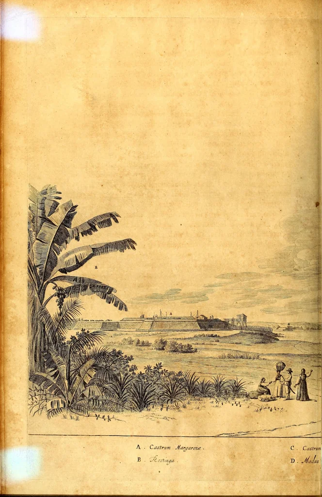 An illustration from Casparis Barlæi, rerum per octennium in Brasilia et alibi nuper gestarum, sub præfectura illustrissimi Comitis I. Mauritii, Nassoviæ, &c. comitis, nunc Vesaliæ gubernatoris & equitatus fderatorum Belgii ordd. sub Auriaco ductoris, historia, 1647, leaf 194