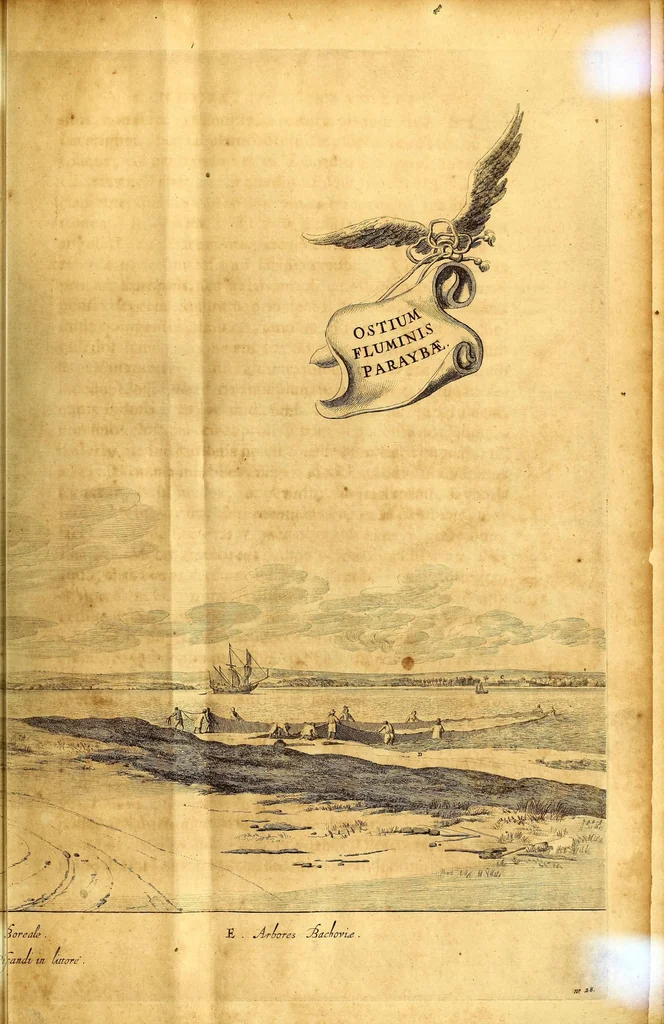 An illustration from Casparis Barlæi, rerum per octennium in Brasilia et alibi nuper gestarum, sub præfectura illustrissimi Comitis I. Mauritii, Nassoviæ, &c. comitis, nunc Vesaliæ gubernatoris & equitatus fderatorum Belgii ordd. sub Auriaco ductoris, historia, 1647, leaf 195